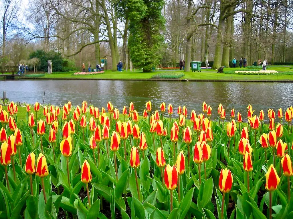 Keukenhof