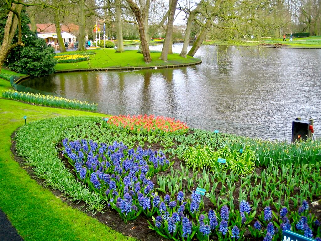 Keukenhof