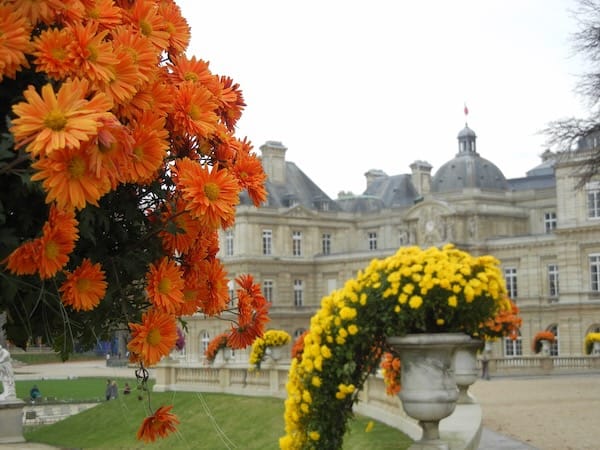 DSCN0185 Jardin du Luxembourg | Online Flower Garden Jardin du Luxembourg copyright www.onlineflowergarden.com