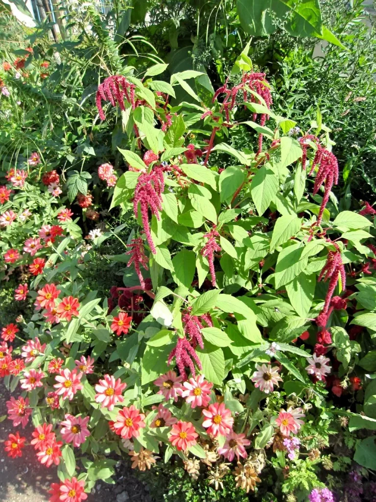 Gardens Of Chateau De Malmaison-11 - Online Flower Garden Flower Mix Gardens Of Chateau De Malmaison