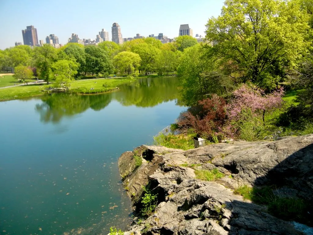 Central Park New York in Spring 1 - Online Flower Garden Central Park in Spring