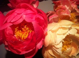 Cut Peonies, Peony | Online Flower Garden