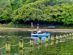 A Stroll Through Hyde Park