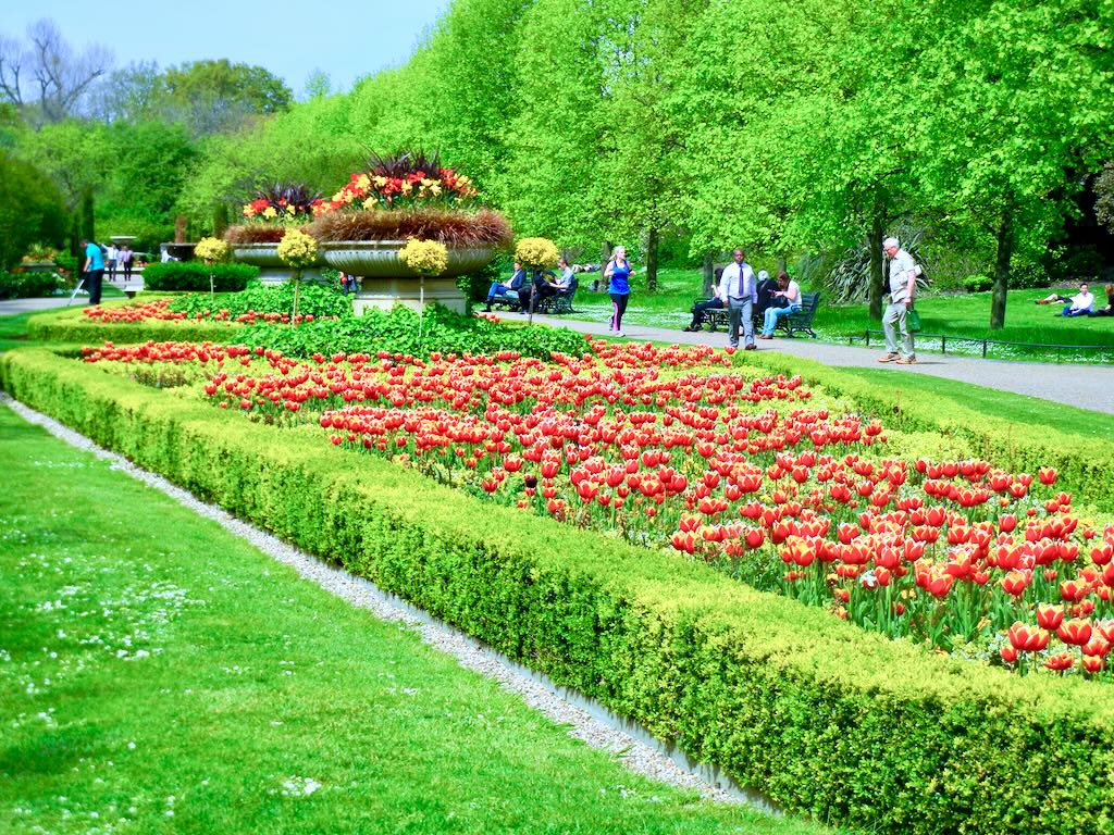 Regents Park in Spring-4 - Online Flower Garden Regent's Park in Spring