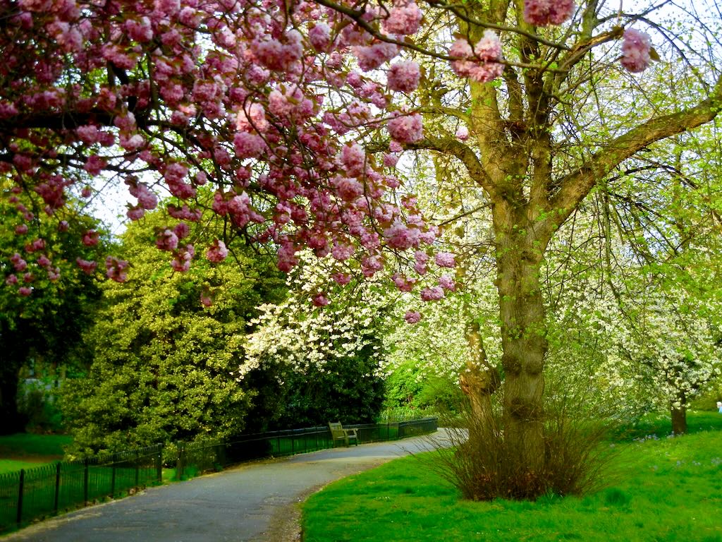 Springtime Hyde Park, London UK
