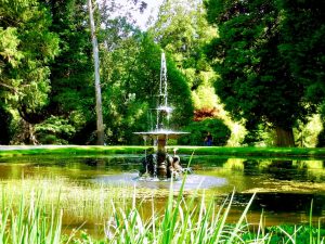 Powerscourt Gardens, Dublin, Ireland