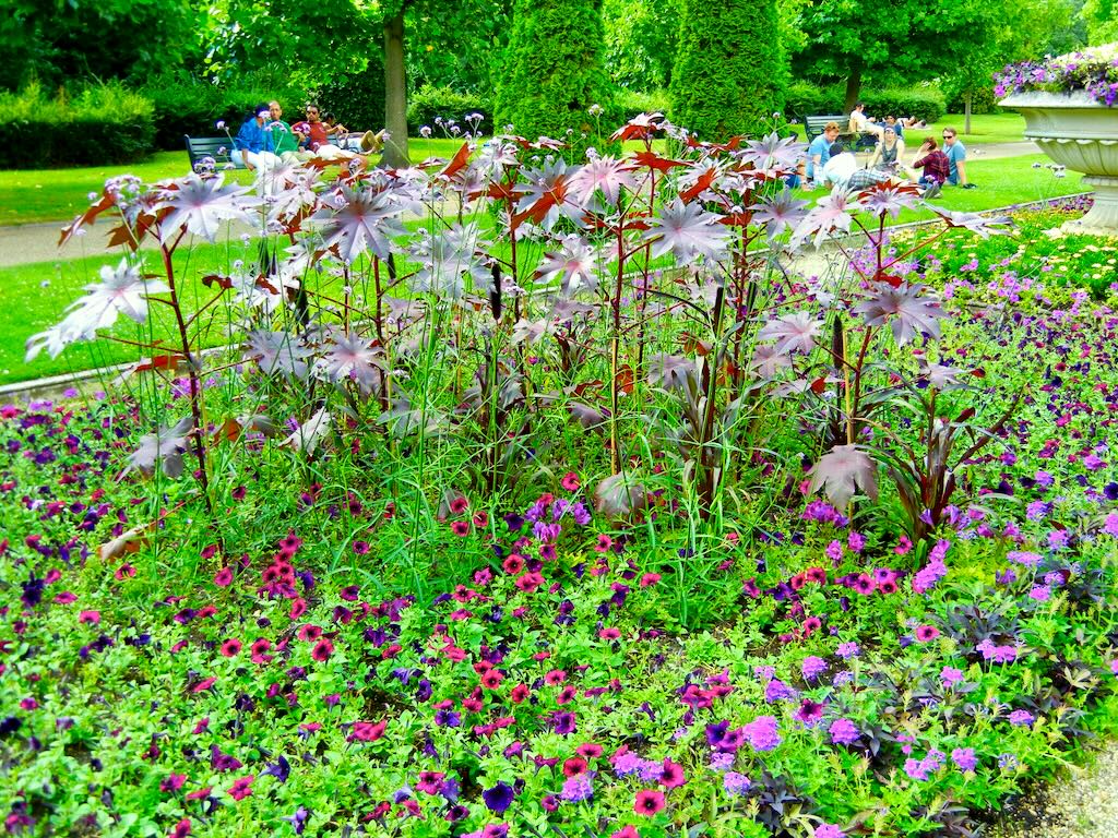 Regents Park-106 - Online Flower Garden Regent's Park in London