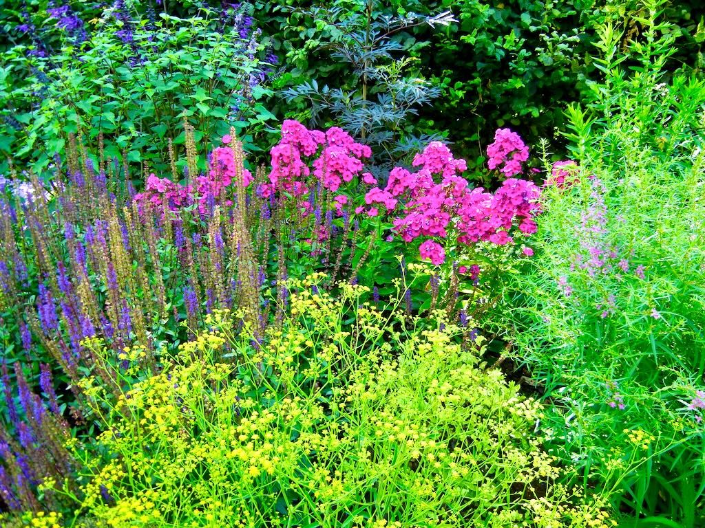 Regents Park-108 - Online Flower Garden Regent's Park in London