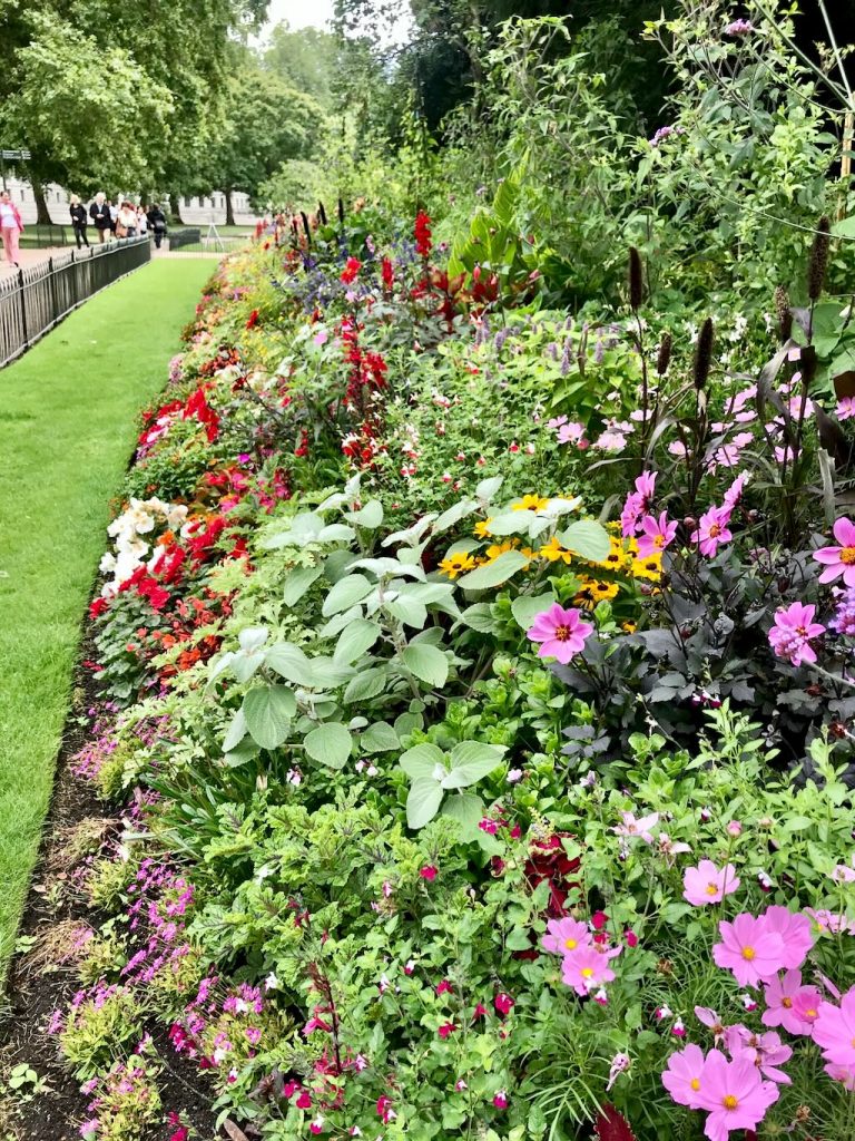 St James Park Lodon-1 - Online Flower Garden A Sunday stroll in St. James's Park, London