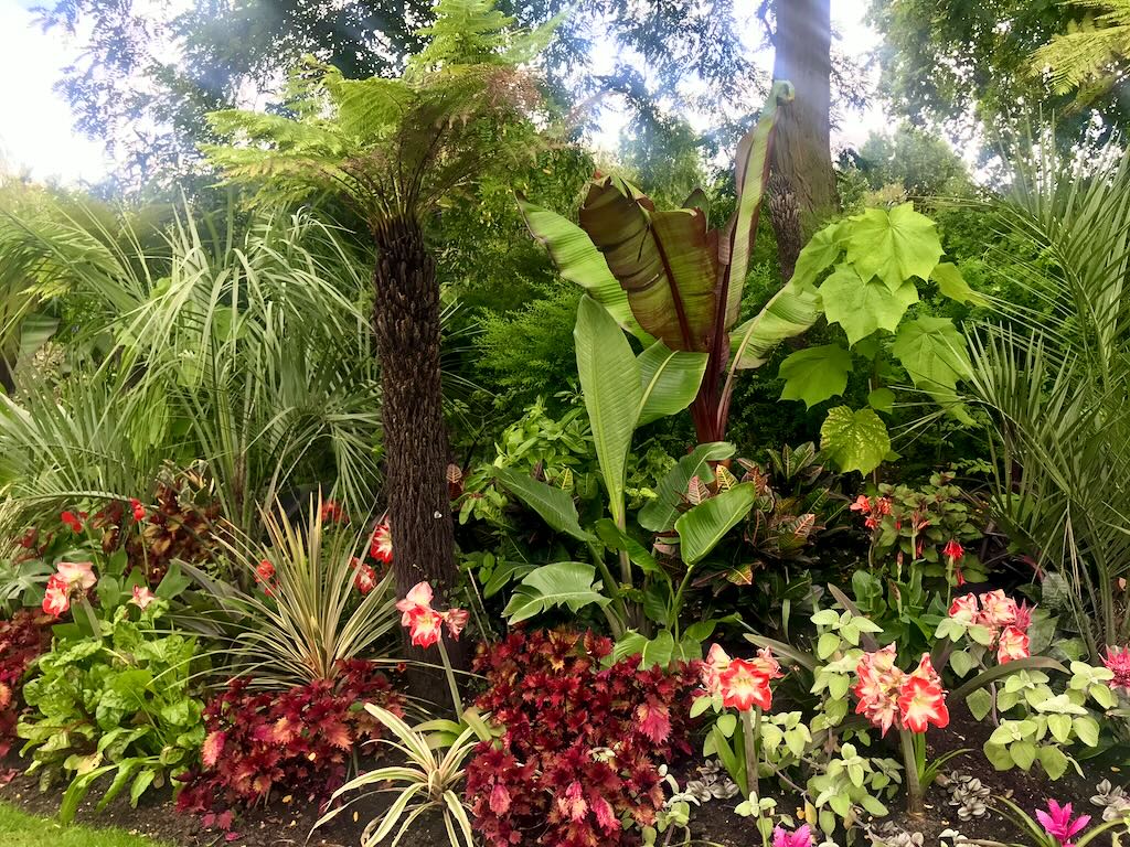 St James Park London-3 - Online Flower Garden St James's Park, London with Amaryllis
