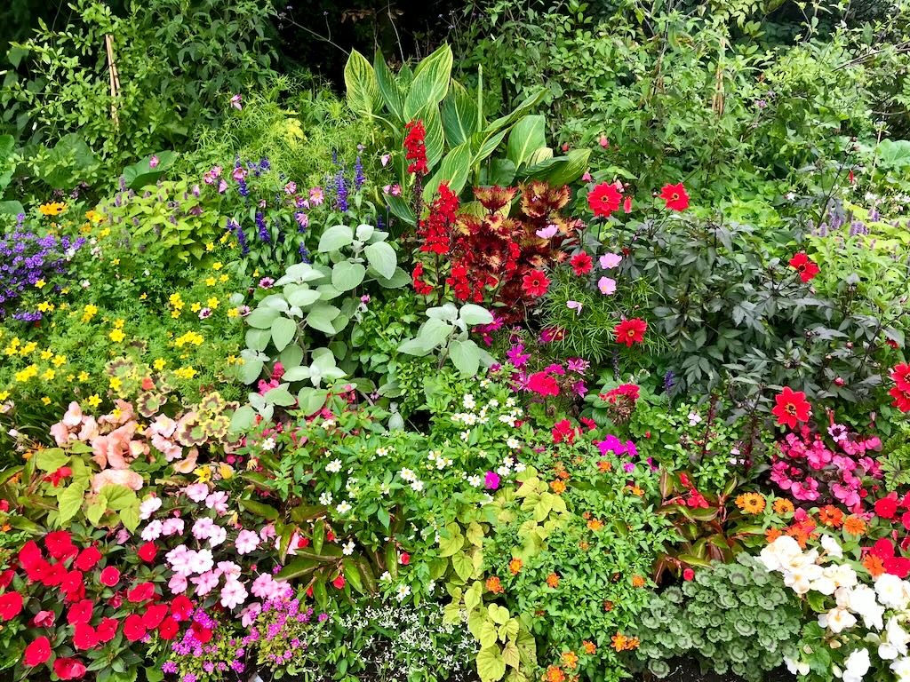 St James Park London-4 - Online Flower Garden