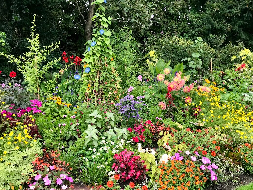 St James Park London-8 - Online Flower Garden St James Park