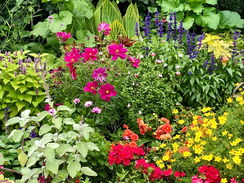 St James Park London-9 - Online Flower Garden Borders at St James Park