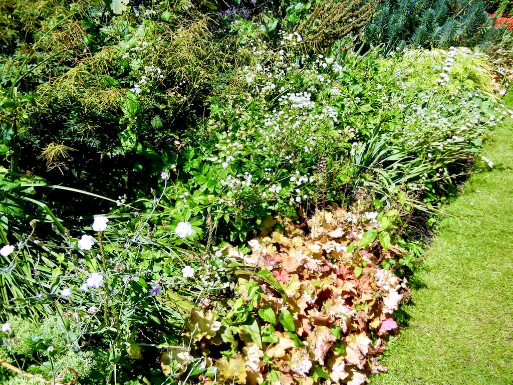 Regent Park-2 - Online Flower Garden Regent's Park on the Hottest Day this Summer