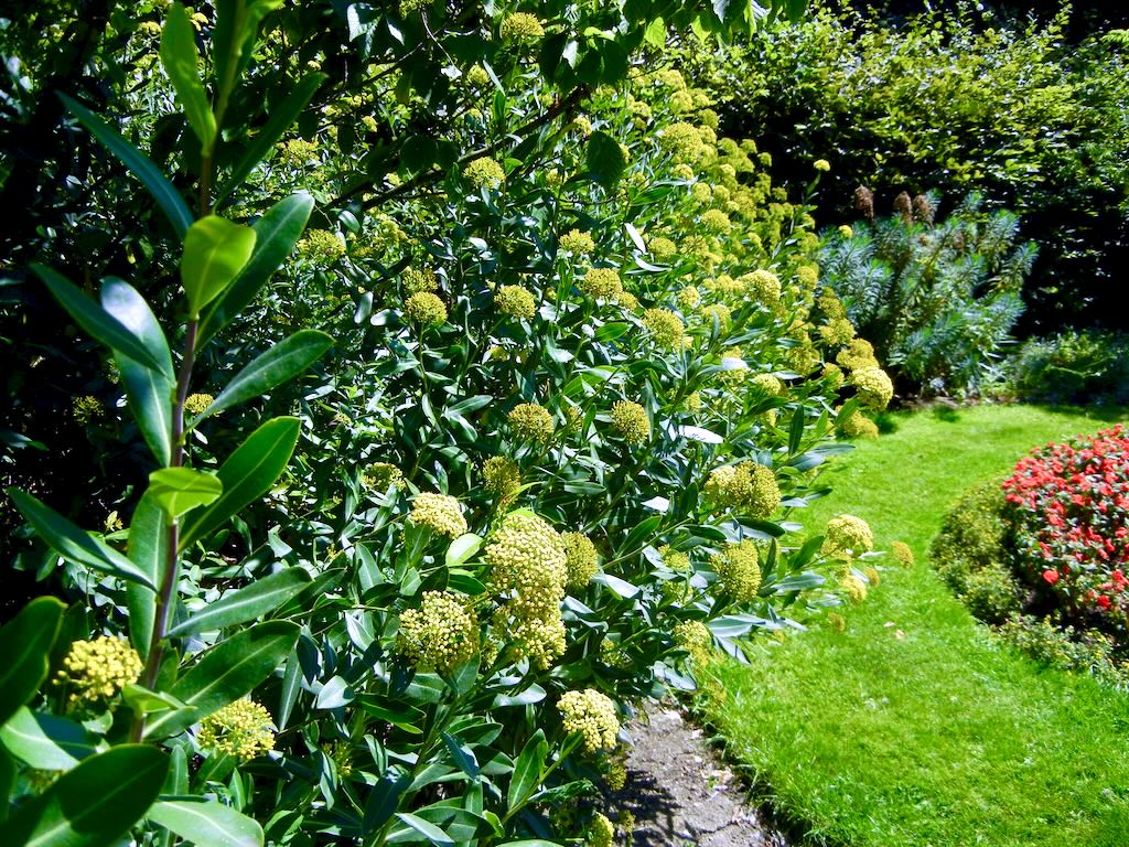 Regents Park-5 - Online Flower Garden Regent's Park