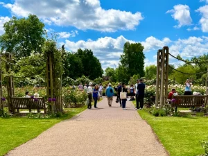Roses of Queen Mary's Garden
