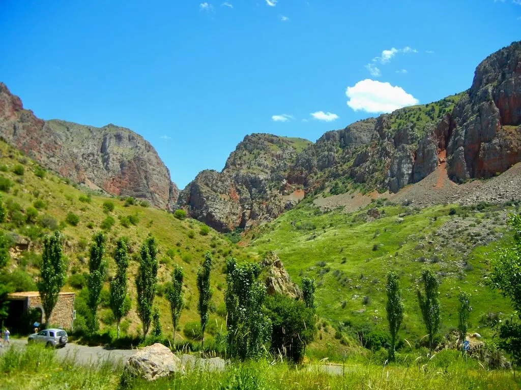 Wildflowers around Monastery of Noravank, Armenia