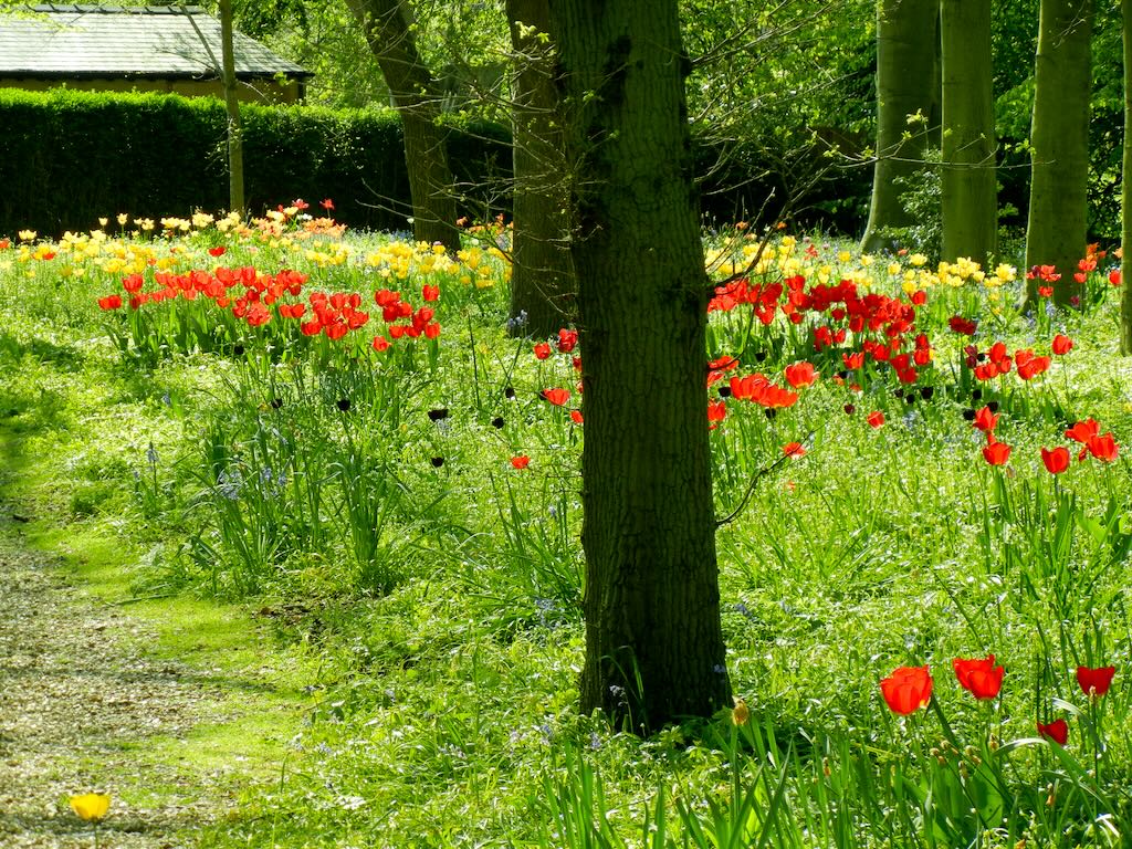 Online Flower Garden The Grove at Queen's College in Cambridge, UK