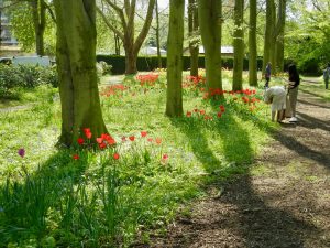The Grove at Queen's College in Cambridge, UK