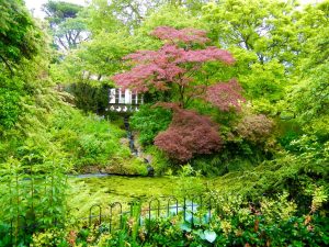 The Botanic Gardens at Royal Victoria Park, Bath, UK