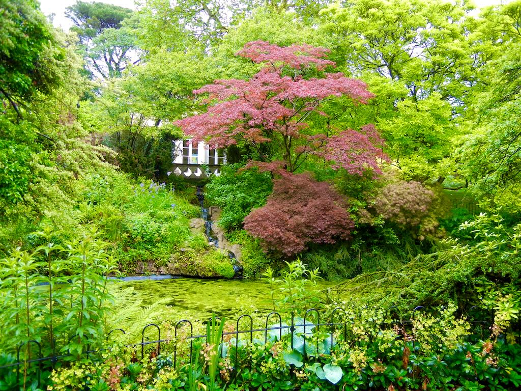 The Botanic Gardens at Royal Victoria Park, Bath, UK