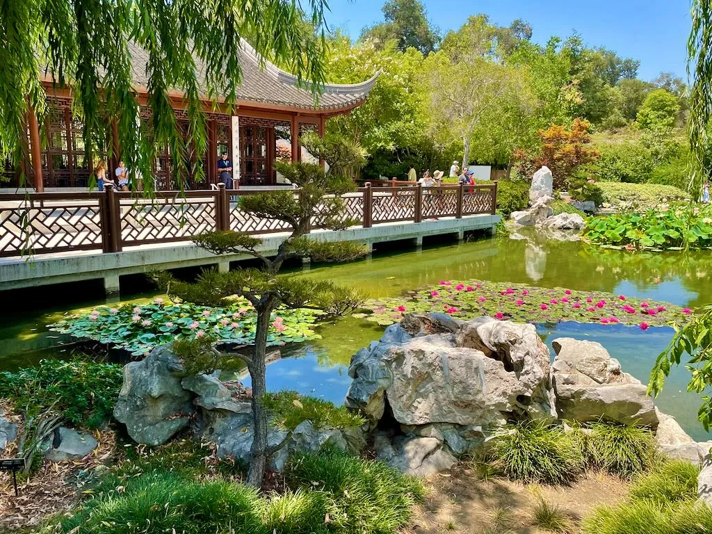 The Chinese Garden at Huntington Library