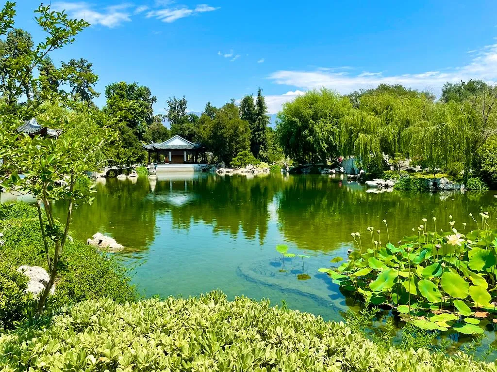 The Chinese Garden at Huntington Library