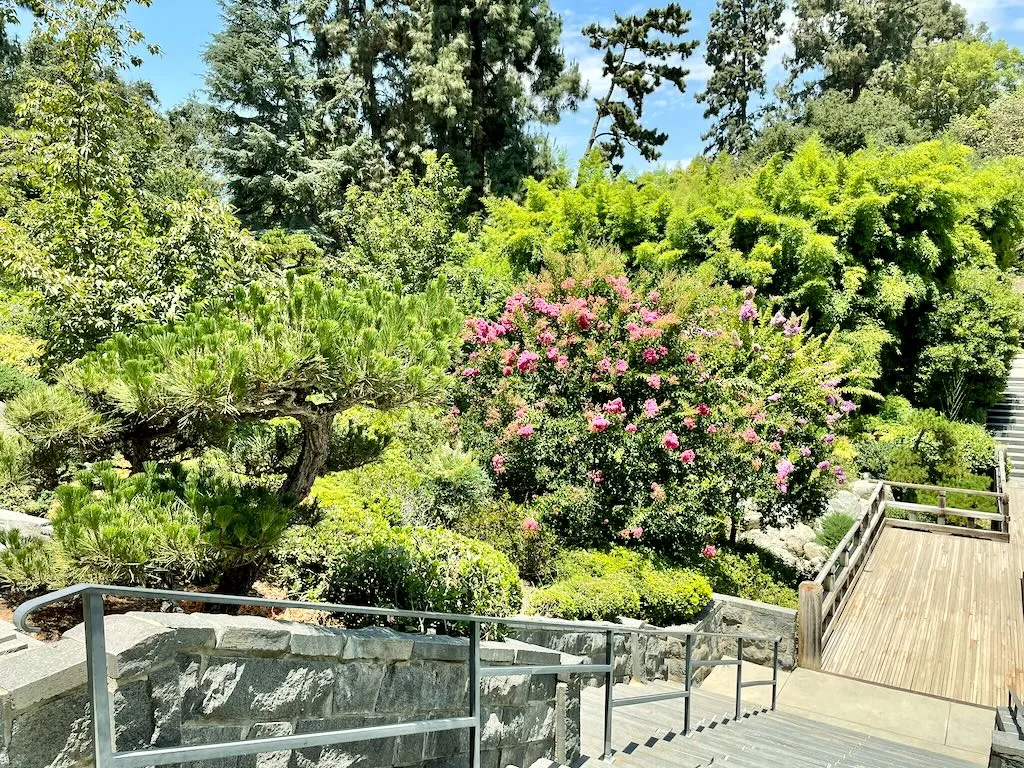 The Chinese Garden at Huntington Library
