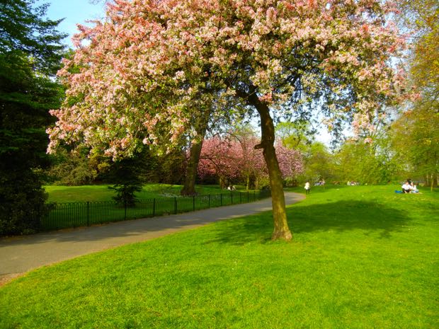 Springtime Hyde Park, London UK