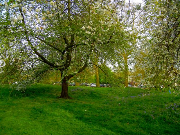 Springtime Hyde Park, London UK