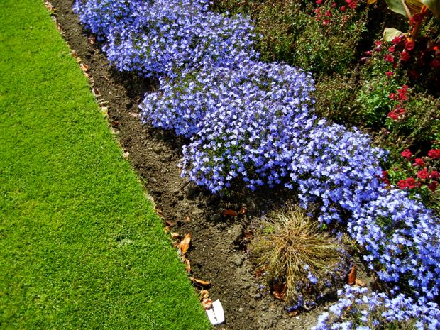 DSCN4530 | Online Flower Garden Powerscourt Gardens