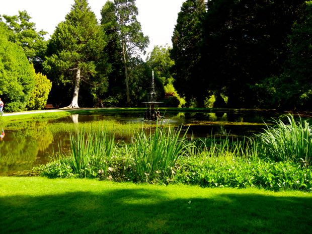 DSCN4535 | Online Flower Garden Powerscourt Gardens