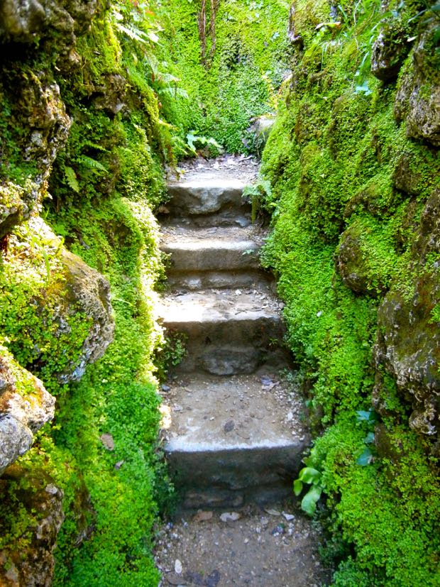 DSCN4540 | Online Flower Garden Powerscourt Gardens