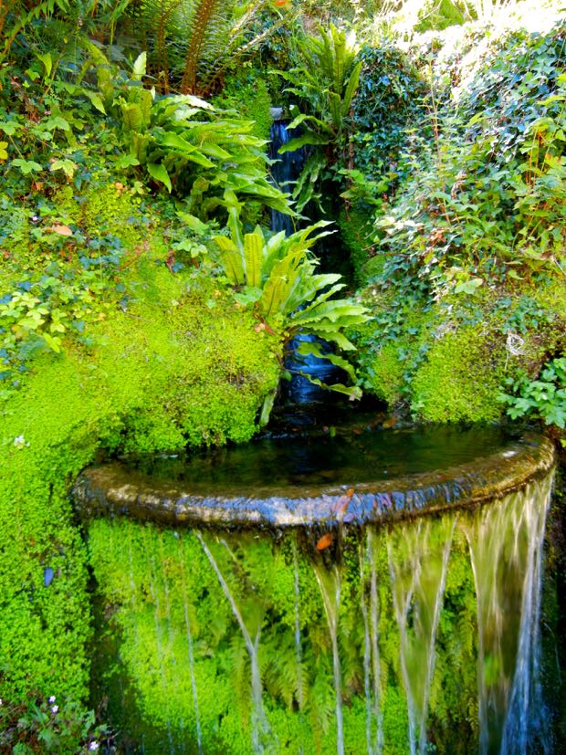 DSCN4541 | Online Flower Garden Powerscourt Gardens