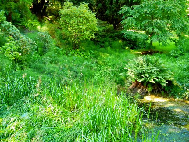 DSCN4542 | Online Flower Garden Powerscourt Gardens