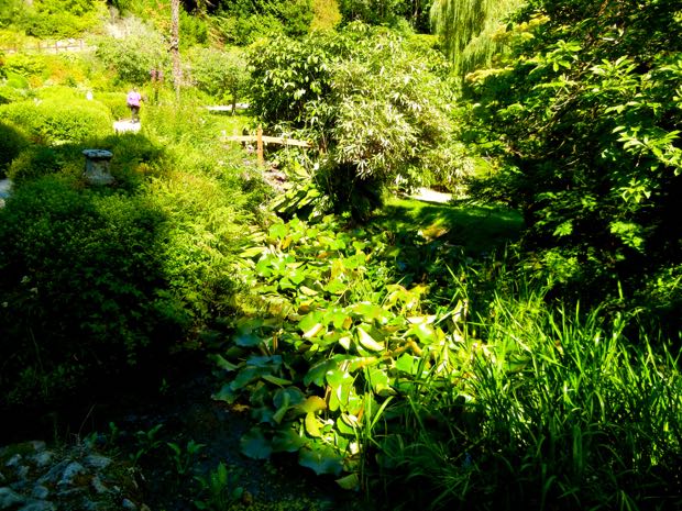 DSCN4543 | Online Flower Garden Powerscourt Gardens