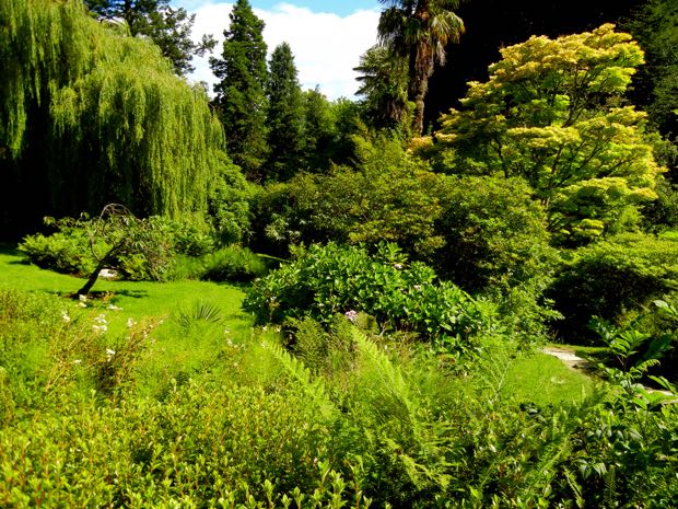 DSCN4545 | Online Flower Garden Powerscourt Gardens