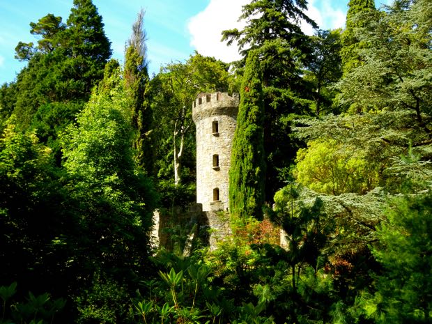 DSCN4547 | Online Flower Garden Powerscourt Gardens