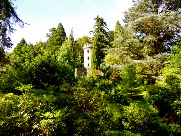 DSCN4548 | Online Flower Garden Powerscourt Gardens