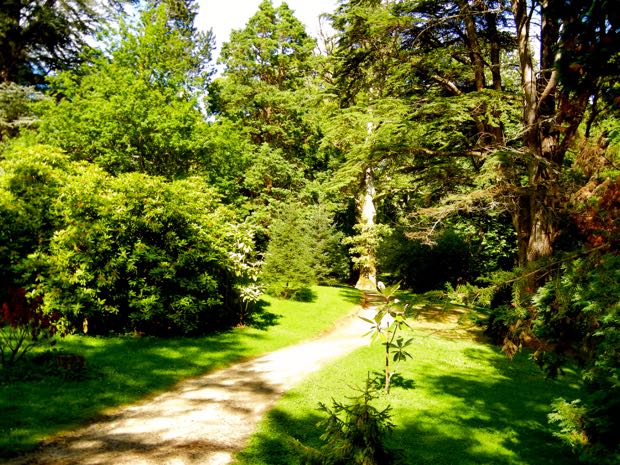 DSCN4549 | Online Flower Garden Powerscourt Gardens