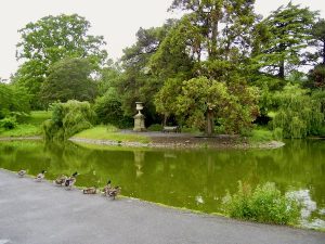 Botanical Gardens at Victoria Park in Bath, UK
