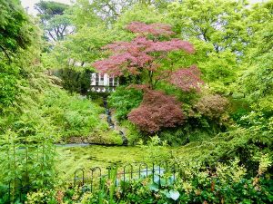 Botanical Gardens at Victoria Park in Bath, UK