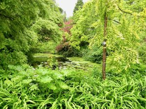 Botanical Gardens at Victoria Park in Bath, UK