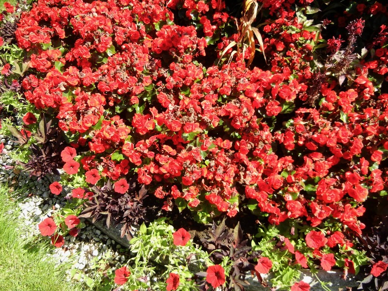 Regent's Park, London