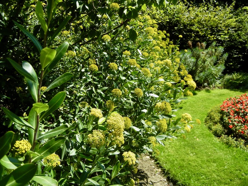 Regent's Park, London