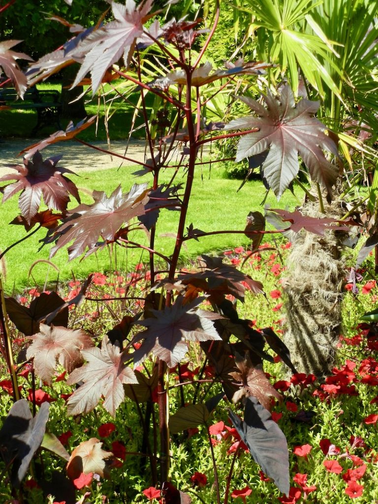 Regent's Park, London