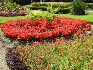 Regent's Park, London