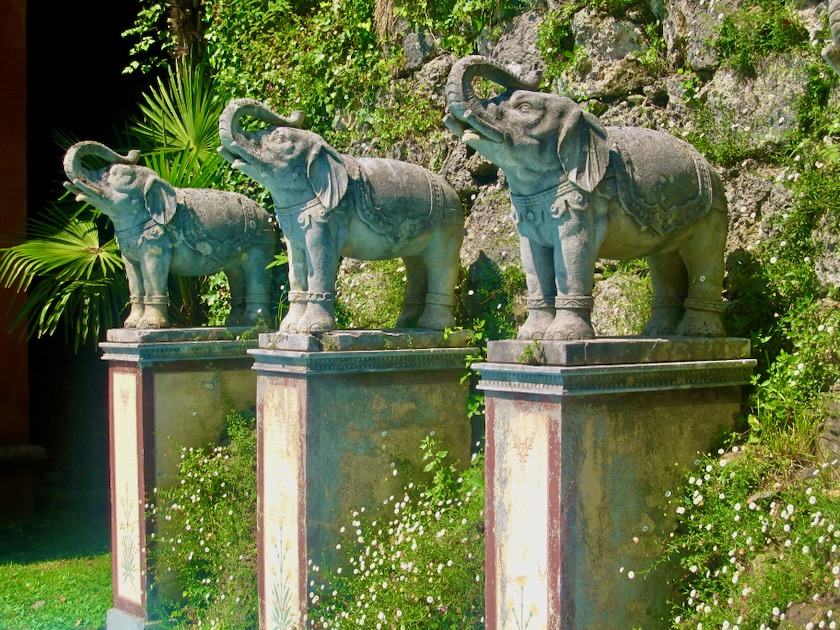 The elephants Scherrer Gardens