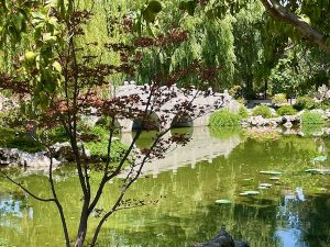 The Chinese Garden at Huntington Library